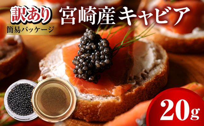 世界三大珍味　本格熟成キャビア　宮崎産キャビア　20g　お試し　訳あり　簡易パッケージ　N027-YB365