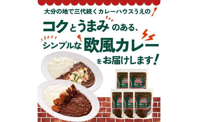 【K03041】九州クラフト うえの焙煎ビーフカレー 冷蔵 5袋