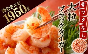 神むきエビ（大粒ブラックタイガー1.95kg）約105尾〜135尾入り