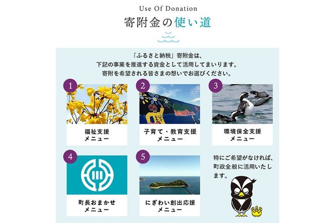 ≪返礼品なし・1,000円≫宮崎県 門川町への寄附【地域振興課】【AI-10】