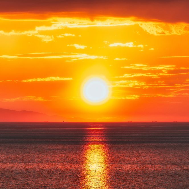 淡路島の釣り船 小溝丸 ペアチケット　釣り