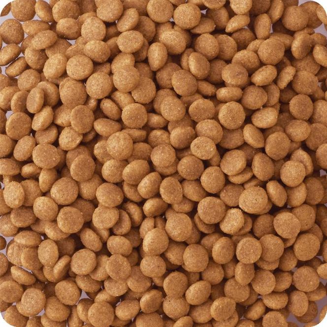 ビタワン 食物アレルゲンに配慮 成犬用 1.4kg ケース販売 ペットフード 犬 愛犬 ペット ペット用品 犬用 愛犬用 ごはん 静岡 袋井市