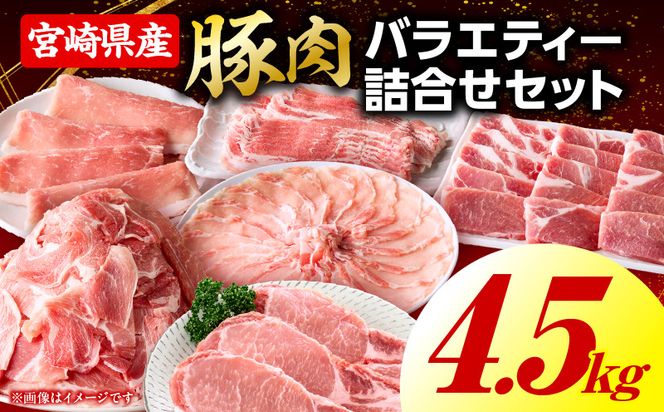豚肉バラエティー詰合せセット【4.5kg】2026年6月発送予定