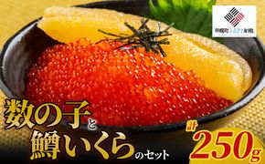 【先行予約】数の子と鱒いくらのセット（数の子 150g と鱒いくら 100g）（2026年2月下旬以降順次発送） BHRI048