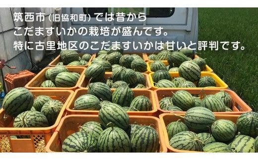 【 地下水100％栽培 】 こだますいか 「 スウィートキッズ 」 5玉入り 先行予約 スウィートキッズ すいか スイカ 小玉スイカ こだまスイカ 西瓜 フルーツ 果物 [DU001ci]