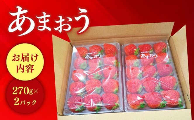 【先行予約】【全3回定期便】農家直送 朝どり新鮮いちご【博多あまおう】約270×2パック【2027年2月以降順次発送】《築上町》【株式会社H&Futures】[ABDG008]