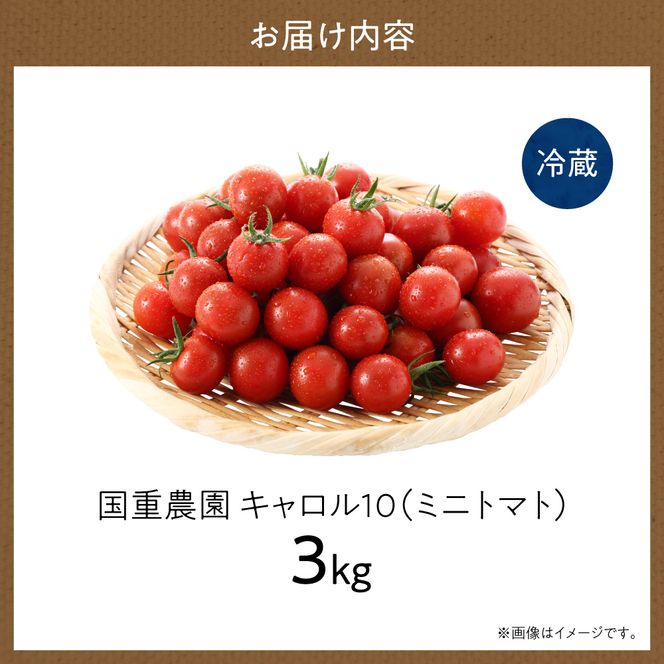 【先行予約：2026年9月上旬以降発送】余市町産丸型ミニトマト「キャロル10」3Kg 高糖度 自根栽培 濃厚 甘い 野菜 返礼品 寒暖差 皮薄 ジューシー サラダ_Y165-0002