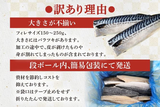 【CF03】訳あり 塩サバ フィレ 3kg [足利本店 宮城県 気仙沼市 20564146] 魚介類 魚 海鮮 大容量 サバ さば 鯖 サバフィレ サバフィーレ 鯖フィレ トロサバ 訳アリ 訳あり わけあり 切り身 冷凍