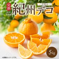 【2027年先行予約】紀州デコ 約 5kg 完熟 紀州 有田産 色 形 味 香り 一級品 プリプリ 果肉 まろやか 甘さ ほどよい 酸味 ジューシー 旨味 不知火 人気品種 柑橘の王様 柑橘 果実 国産 食品 産地直送 お取り寄せ 和歌山県 湯浅町 送料無料_G7361