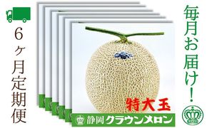 【6ヶ月定期便】クラウンメロン（白等級）特大玉　1玉入 果物類 メロン青肉 