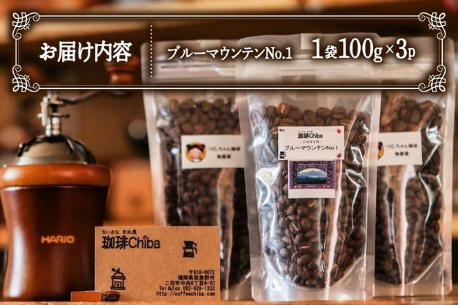 コーヒー豆 ブルーマウンテン 100g 3パック 計 300g [珈琲Chiba 福岡県 筑紫野市 21761418] コーヒー 珈琲 豆 珈琲豆 セット ブルーマウンテンNo.1 ブルマン 300g 豆のまま おいしい coffee bean beans メール便 メール便対応 チケット