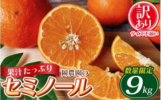 訳あり品 サイズ混合 ご家庭用 岡農園のセミノール9kg【2025年3月下旬から4月下旬までに順次発送】 / セミノール わけあり 訳あり 家庭用 みかん 蜜柑 数量限定 ミカン【mok004B】