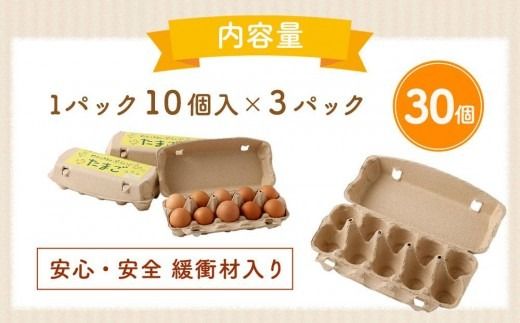 【定期便：6か月】【食べチョクアワード2025 畜産部門 1位の日本一のたまご】単なる平飼いではない究極の卵『わたしたちのぷらいどたまご』3パック（30個）セット