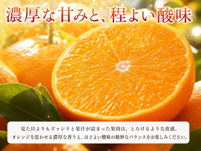 とろける食感!ジューシー柑橘 せとか 約3kg｜みかん ミカン 柑橘 果物 くだもの フルーツ せとか 甘い 先行予約 国産 産地直送 人気 美浜町