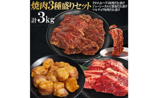 焼肉3種盛りセット(ハラミ・カルビ・マルチョウ)3kg 372013_KA051