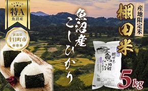 棚田米 魚沼産 コシヒカリ 5kg 新潟県 十日町市 松代地区 限定 棚田 こしひかり （お米屋秘伝！美味しいご飯の炊き方ガイド付き） 精米 ブランド米 銘柄米 