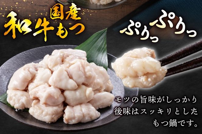 もつ鍋 博多旨だしもつ鍋 醤油味 3〜4人前 [地域商社ふるさぽ 福岡県 筑紫野市 21761436] 鍋セット モツ鍋 もつなべ モツ もつ 牛もつ 牛モツ 福岡 博多 冷凍 ちゃんぽん麺