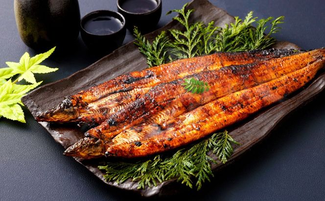 ＜うなぎ蒲焼 （175～200g）×2尾＞ 翌月末迄に順次出荷【c972_un_x3】