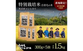 【通年受付】≪令和8年産≫ 農家直送！魚沼産コシヒカリ特別栽培「白羽毛の米」精米 (300g×5袋) 1.5kg