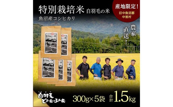 【通年受付】≪令和8年産≫ 農家直送！魚沼産コシヒカリ特別栽培「白羽毛の米」精米 (300g×5袋) 1.5kg