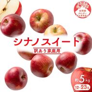 【2026年10月発送】シナノスイート 訳あり家庭用 約5kg 12～23玉 りんご 果物 訳あり 信州 長野