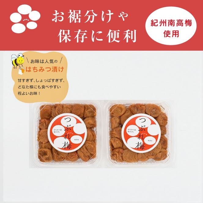 紀州南高梅つぶれ梅（はちみつ漬）合計800g（400gx2） 塩分8% [AJ10] 303446_DY90010