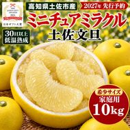 土佐文旦 ミニチュアミラクル 10kg 家庭用 超小玉 日本ギフト大賞受賞 文旦発祥の地 園主こだわり 希少サイズ 小玉よりさらに小さい 高知県土佐市産 高知県産 国産 10キロ ぶんたん みかん 柑橘類 高級フルーツ 果物 産地直送 お取り寄せ ギフト 先行予約 やの一果彩[BQAC028]