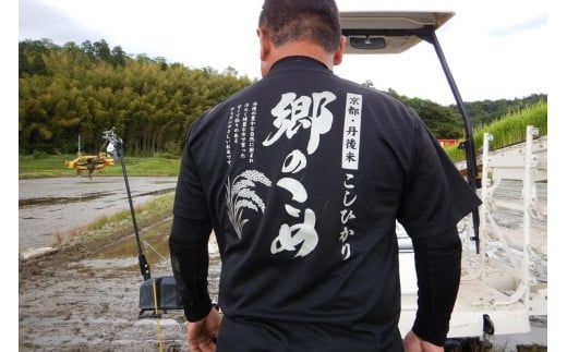 京都・網野郷産 特別栽培米コシヒカリ 精米5kg（2026年10月上旬～発送）特別栽培米 こしひかり 精米 ふるさと納税 米 ふるさと納税 コシヒカリ 白米 新米 令和8年産 生産者応援 農家応援 送料無料　GG00007