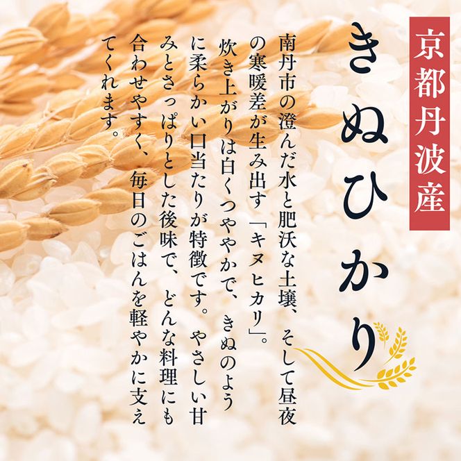 米粉うどん 10食セット　うどん 小麦粉不使用 グルテンフリー 冷凍 保存食 個包装 麺 京都府 南丹市