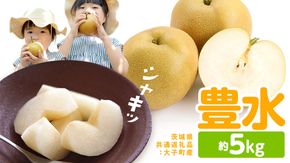 梨 豊水 約5kg 【2026年9月より発送開始】（茨城県共通返礼品 [梨]：大子町産）田舎の頑固おやじが厳選！ なし 豊水梨 果物 くだもの フルーツ 旬 高糖度 ギフト 美味しい 甘い デザート [BI304-NT]