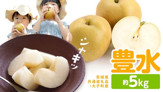 梨 豊水 約5kg 【2026年9月より発送開始】（茨城県共通返礼品 [梨]：大子町産）田舎の頑固おやじが厳選！ なし 豊水梨 果物 くだもの フルーツ 旬 高糖度 ギフト 美味しい 甘い デザート [BI304-NT]