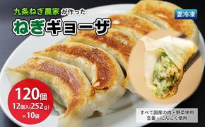 九条ねぎ農家が作ったねぎギョウザ（12個入×10袋） 〈 ぎょうざ 餃子 ギョーザ 九条ねぎ 京野菜 冷凍 冷凍餃子 惣菜 国産豚肉  おかず つまみ 夕飯 晩御飯 手軽 便利 〉 