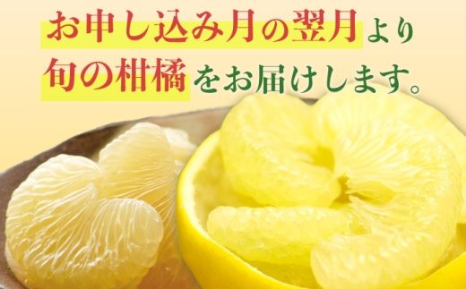 【4回定期便】バラエティ文旦 贅沢コース〈水晶文旦・温室文旦・贈答品 土佐文旦 〉/ 文旦 ぶんたん ブンタン 土佐文旦 水晶文旦 温室文旦 柑橘 フルーツ 果物 くだもの 定期便【白木果樹園】 [BQAI061]
