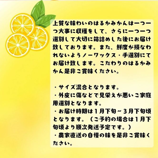 【先行予約】【人気柑橘】有田 育ちの はるか みかん（ 訳あり 家庭用 ） 5kg+200g(傷み補償分) / 柑橘 果物 フルーツ 和歌山 ※2027年1月下旬～2月下旬に順次発送 ※北海道・沖縄・その他離島地域は発送不可【ard019-c-5A】