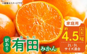 DZ6218_【2026年先行予約】ご家庭用 有田みかん 和歌山 大玉(2L,3Lサイズ混合) 約4.5kg