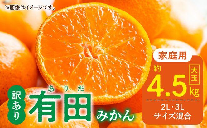 DZ6218_【2026年先行予約】ご家庭用 有田みかん 和歌山 大玉(2L,3Lサイズ混合) 約4.5kg