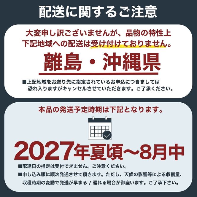 【2027年出荷分 先行予約】朝もぎ直送!『山梨県産　桃』約13～18玉 約5kg規格箱入り 選び抜かれた山梨の桃《もも 先行予約》山梨県産　モモ/ フルーツ 果物 くだもの 人気 産地直送/厳選  贈答 贈り物【tab0221-05】