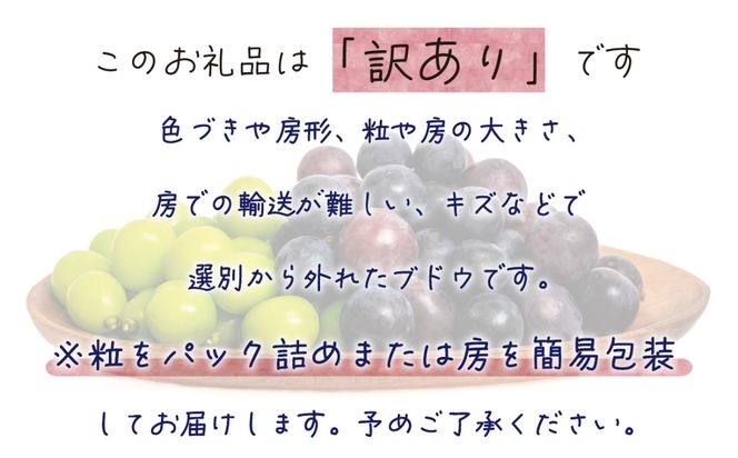 【2026年先行予約】 ぶどう 岡山 【訳あり】 花笑み農園の ぶどうおまかせ2種 （計1kg分お届け！） 農園厳選 / ぶどう ブドウ 葡萄 シャインマスカット ピオーネ クイーンニーナ オーロラブラック 瀬戸ジャイアンツ 翠峰 BKシードレス マスカサーティーン マスカットノワール 雄宝 マイハート 真庭市 【hana049-02】