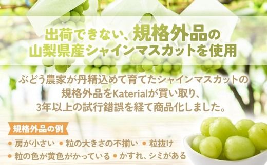 SDGs　ドライフルーツ　シャインマスカット　AD-288