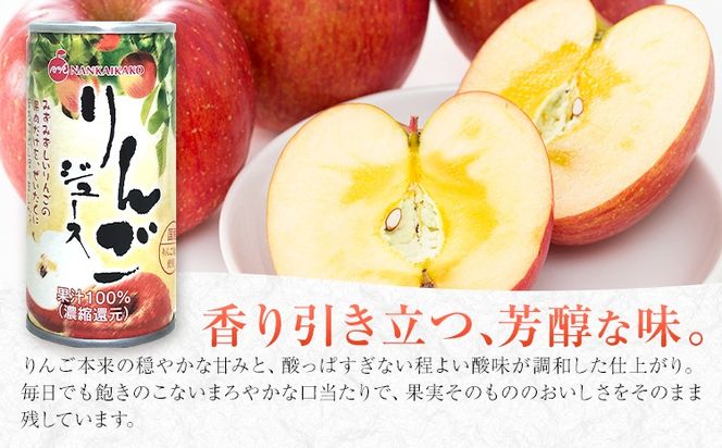 りんごジュース 果汁100% ジュース 30缶 190g/1缶 南海果工株式会社《3月中旬～出荷予定(土日祝除く)》和歌山県 日高川町 ジュース 林檎 リンゴ りんご 送料無料---wshg_nkka10_bc32_23_17000_30---