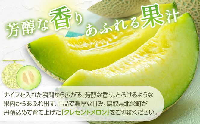 783.【先行予約】青肉メロンの新星「クレセントメロン」満足の２玉セット　※2026年７月中旬より順次発送予定 313726_AS009