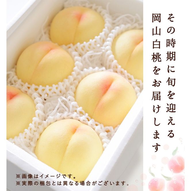 桃 2026年 先行予約 岡山白桃 3玉 約750g 化粧箱入り 岡山県 赤磐市産 果物 フルーツ 白桃 もも モモ