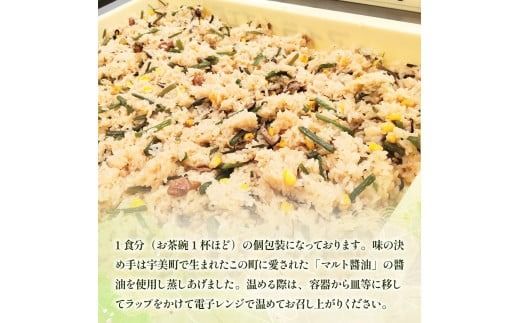  特製 山菜おこわ 170g 6p [アイライズ工房 福岡県 宇美町 um40azo730002] 山菜 おこわ 惣菜 冷凍 レトルト