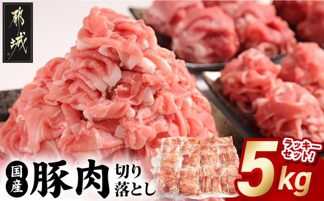 国産豚肉切り落とし5kgラッキーセット_19-3601_(都城市) 国産 豚肉 切り落とし 250g×20袋 5kg 豚肉 小分け お弁当 サラダ しゃぶしゃぶ 料理 アレンジ
