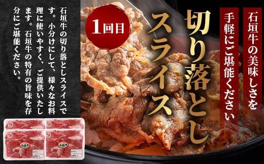 【全3回 定期便C】 石垣牛　切り落としスライス・ハンバーグ・肩ロースすきしゃぶ　計3.1kg（いしなぎ屋）【 特選肉 肉 高級 黒毛和牛 和牛 牛 】AB-031