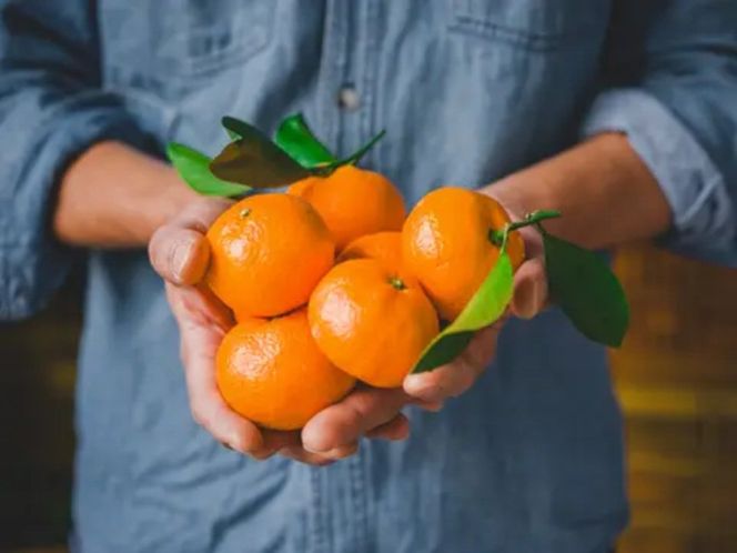 手が止まらない 訳あり 有田みかん 約5kg 大きさ無選別（2S〜3L） 糖度11度以上 鳴川農園 FD02