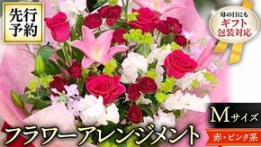 【 母の日 】 フラワー アレンジメント M 赤・ピンク 系 ギフト プレゼント 花 お祝い 贈答 記念日 インテリア [CT082ci01]