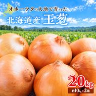 玉ねぎ 北海道産 タマネギ 20kg （10kg×2箱） [ たまねぎ 国産 産地直送 オホーツク 野菜 常備野菜 ]  えんゆう農業協同組合