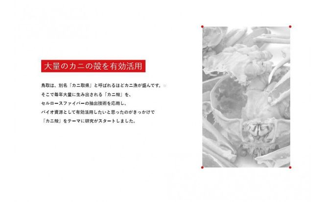 KANI DANOMI スカルプケアα (化粧品) 312011_CM004