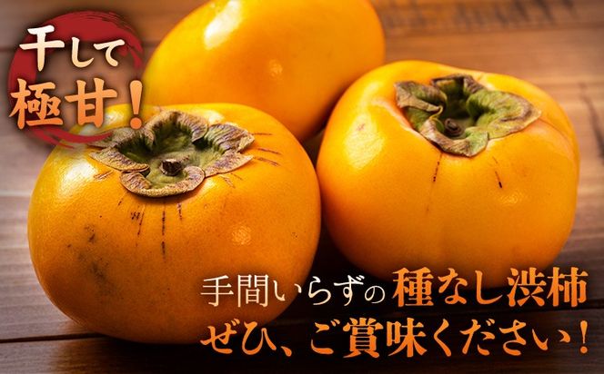 【2026年先行予約】柿 かき あんぽ柿用 T軸枝無 種なし 生渋柿 選べる 1.5~2kg 4.5~5kg 14.5~15kg ふるさと農園《10月中旬-11月上旬頃より発送予定(土日祝除く)》 和歌山県 日高町 贈り物 ギフト---wsh_fsn15_10c11j_25_11000_612---